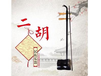 招聘绍兴二胡家教老师